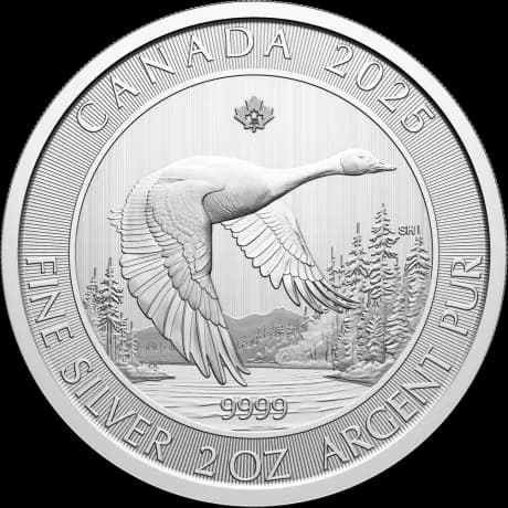 Canada Goose